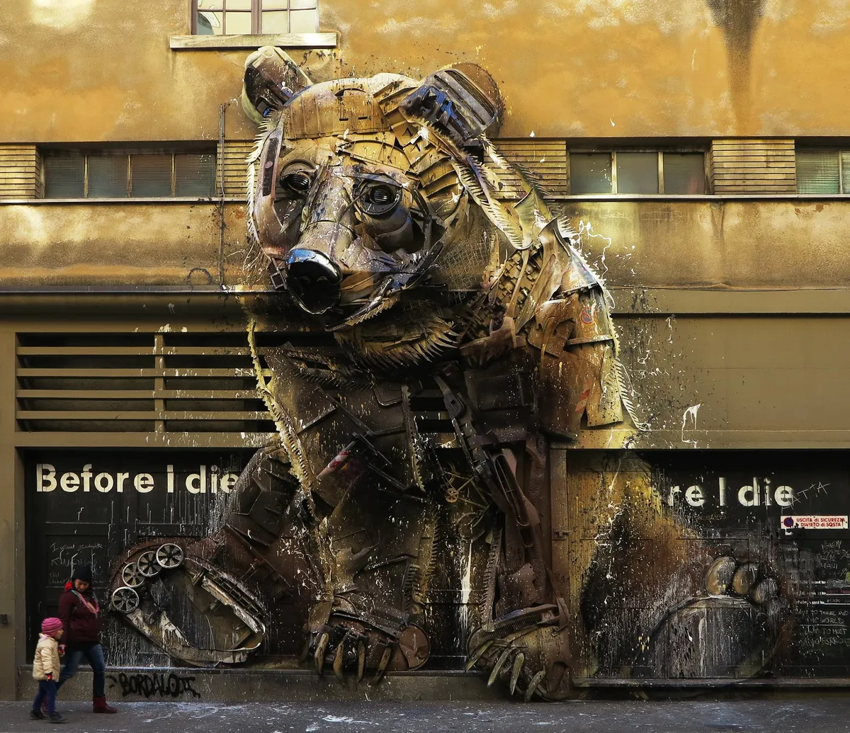 Bear
